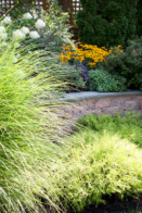 a well maintained lawn using a drip irrigation system