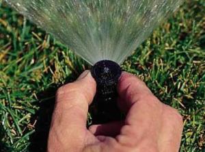 a Sprinkler Repair tech adjusts a pop up head at a Sammamish residence